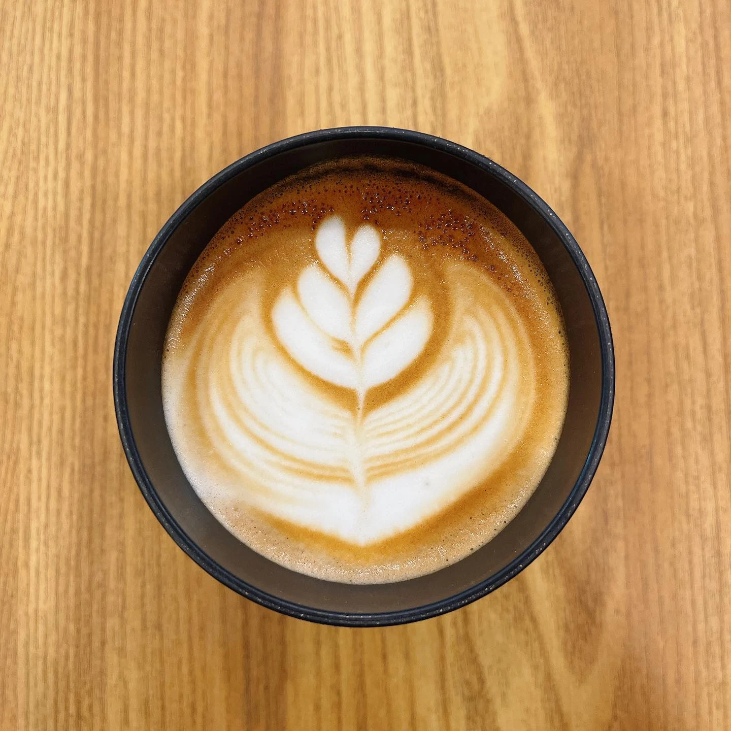 Roastphile Coffee Roaster