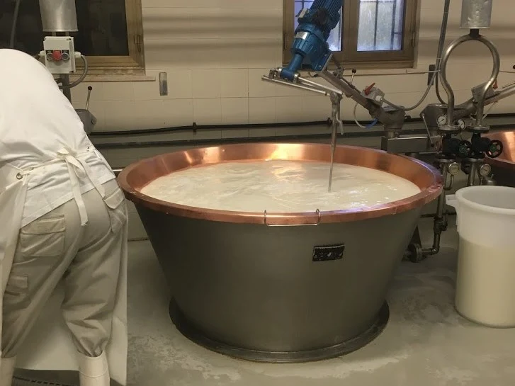 A cheesemaker in white protective clothing and rubber boots stands next to a large copper-rimmed vat of milk being stirred by a mechanical agitator.