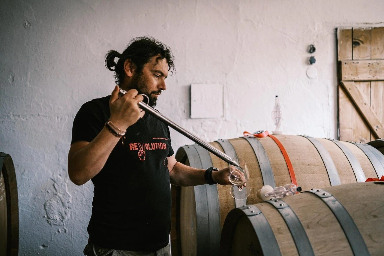 Bioweingut Johannes Zillinger