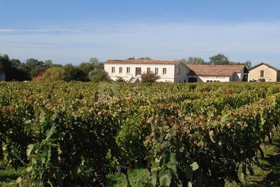 Château la Mouline