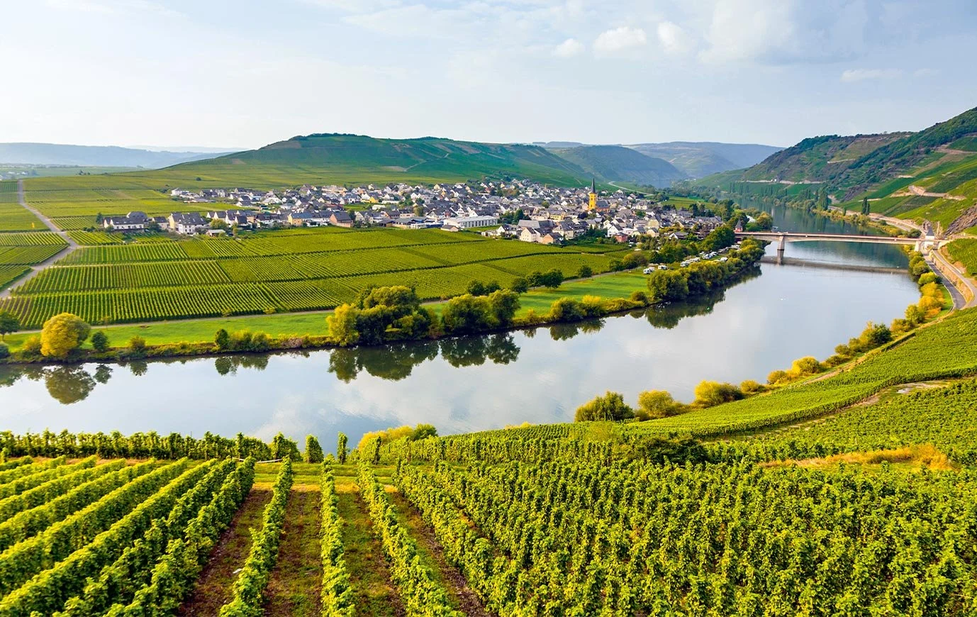 Weingut Rings