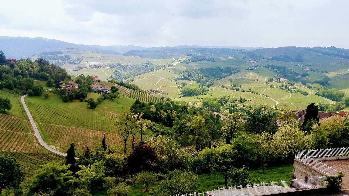 Azienda Vitivinicola Piano