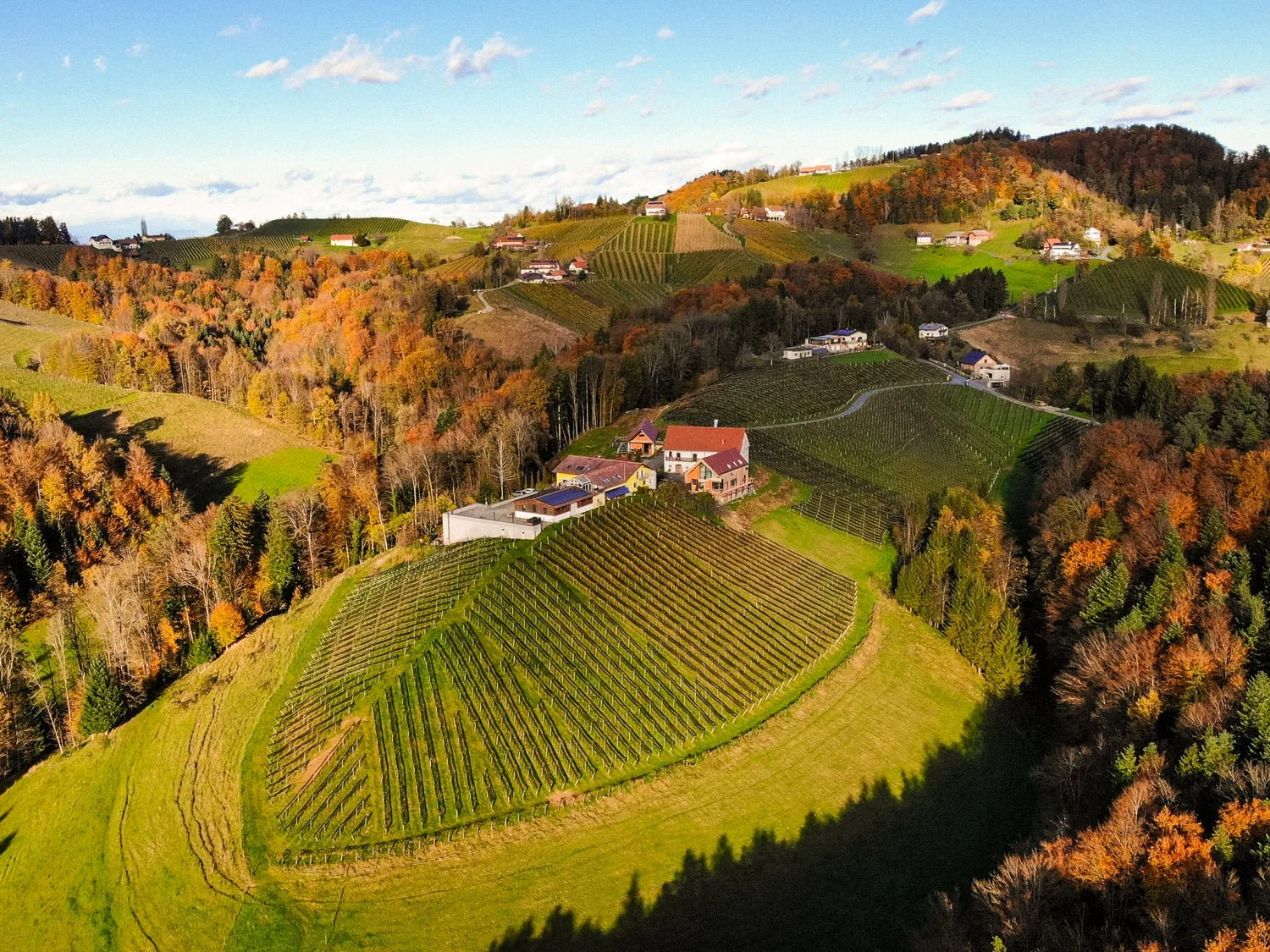 Weingut Masser