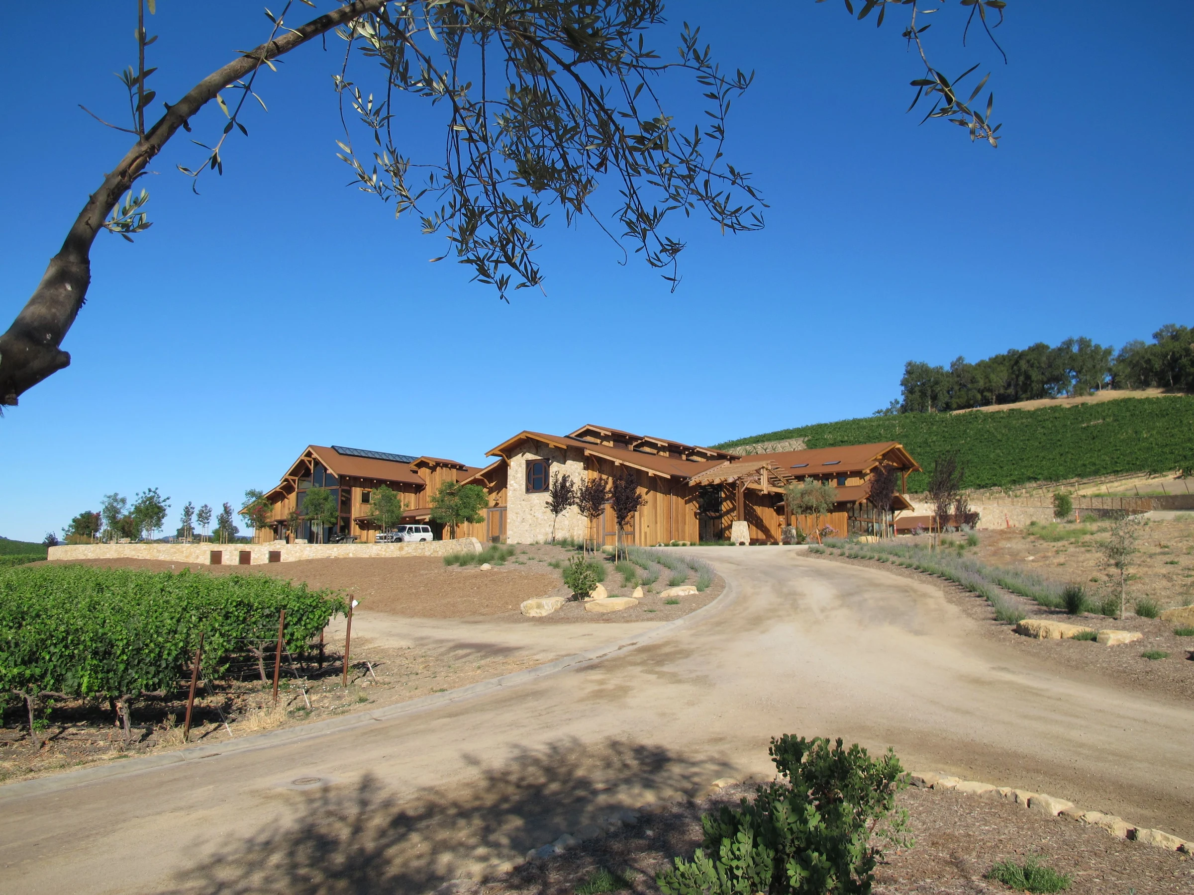 Halter Ranch Vineyard