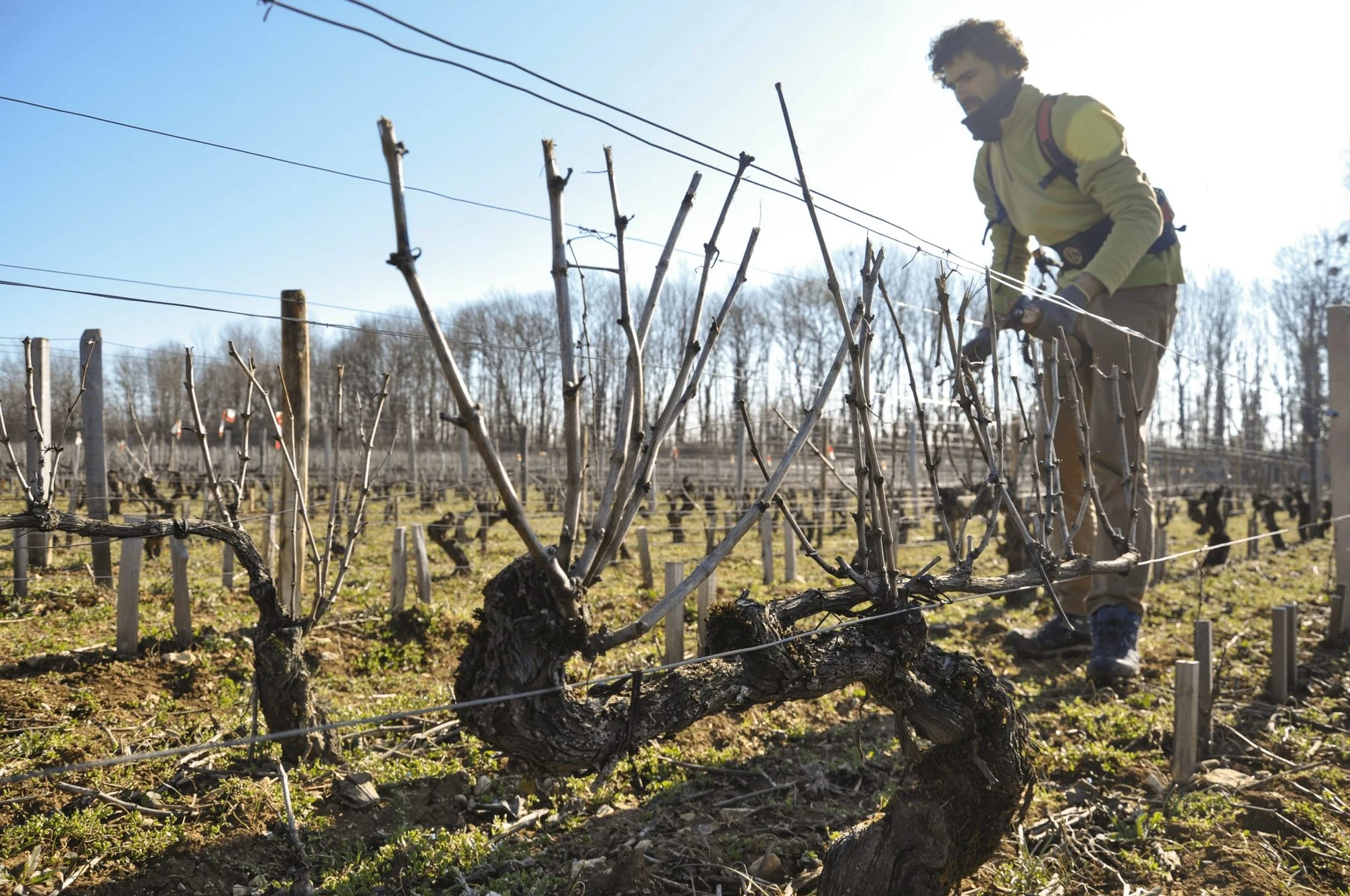 Domaine Alain Jeanniard