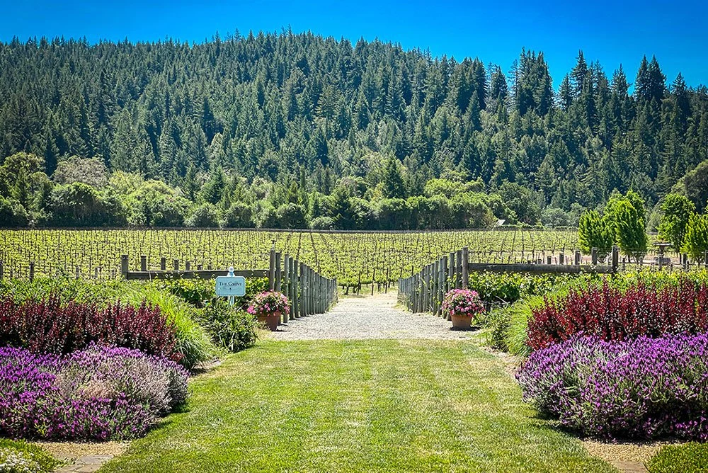 Goldeneye Winery
