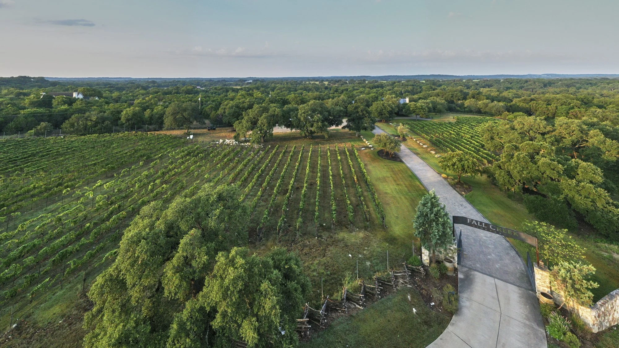 Fall Creek Vineyards