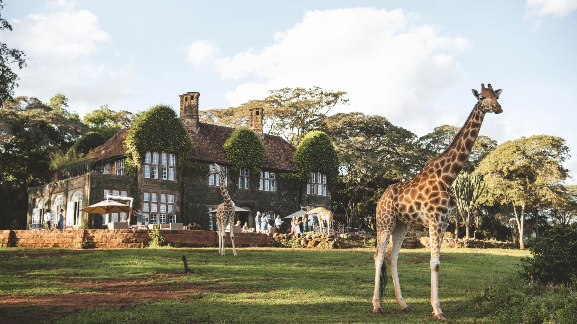 Giraffe Manor