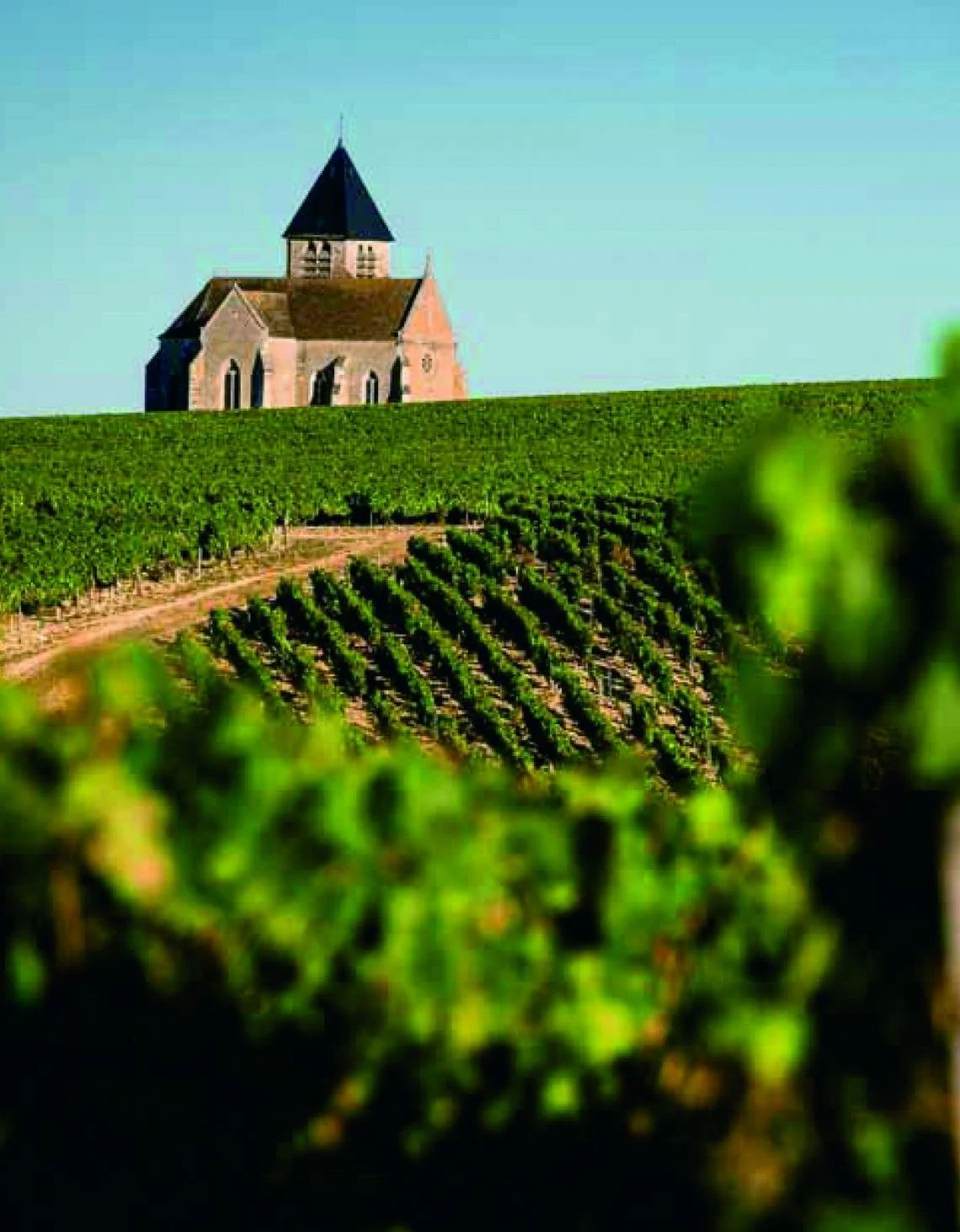 Domaine Jean-Marc Brocard