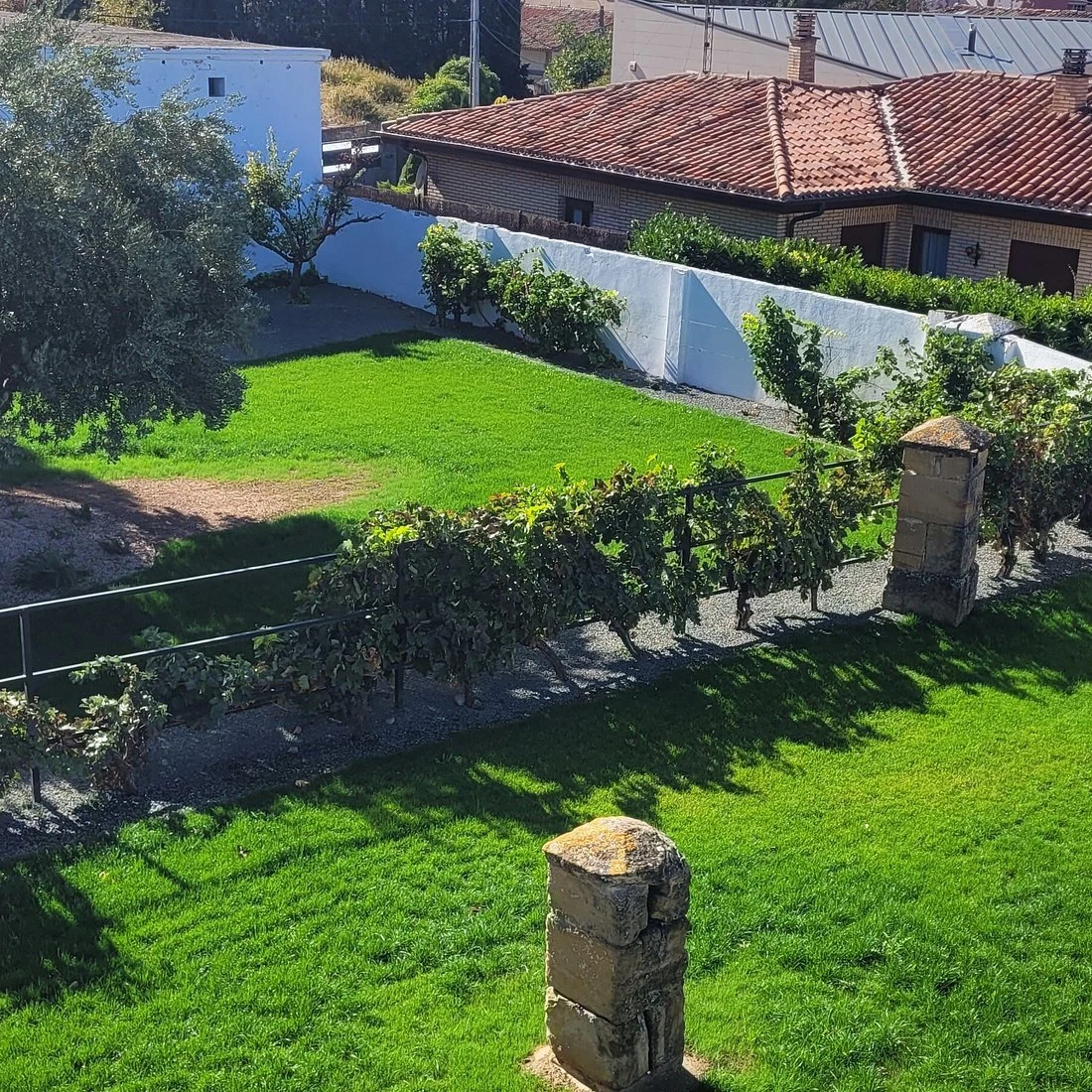 Bodegas Manzanos