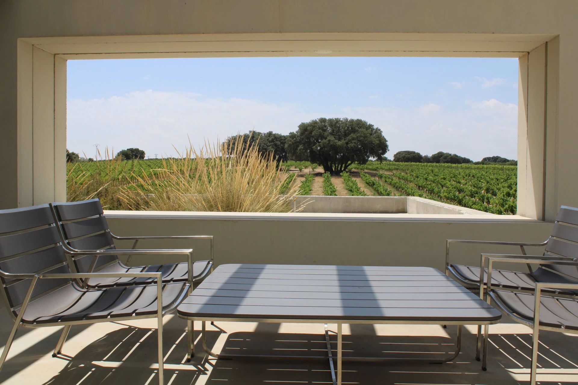 Bodega Dehesa de Luna