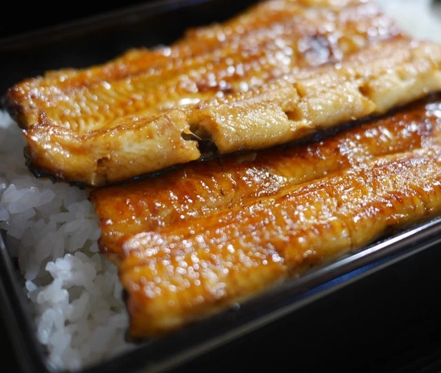 Unagi Akimoto