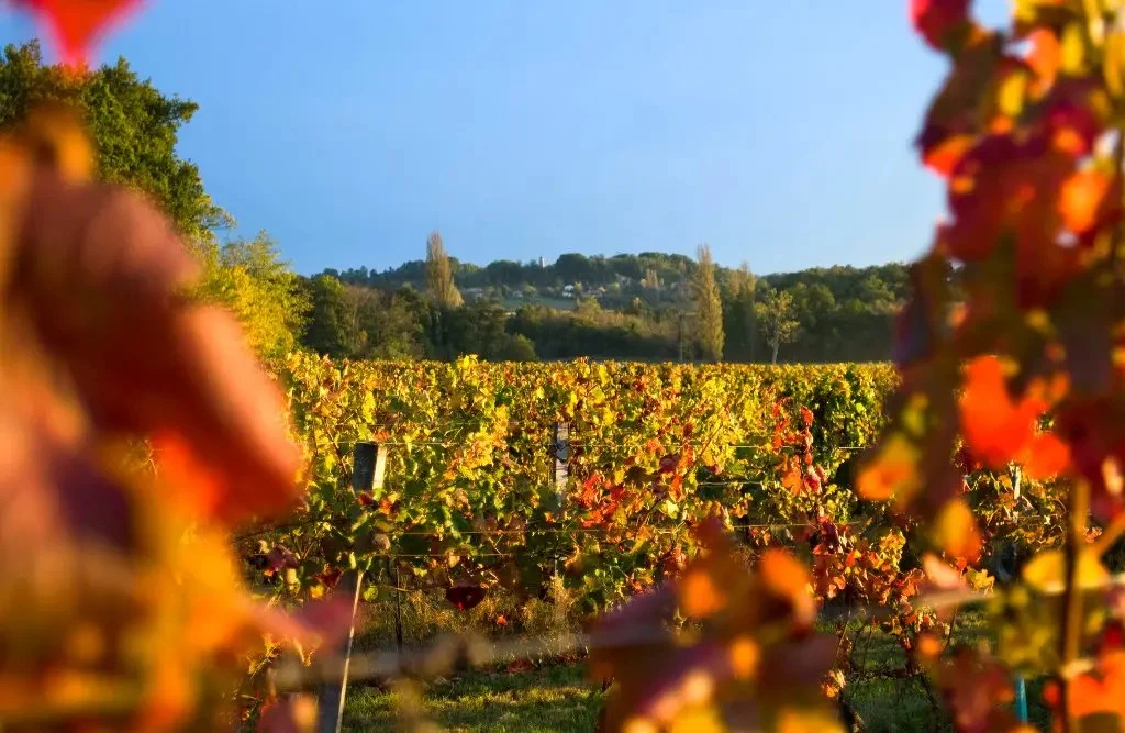 Château Fleur Haut Gaussens