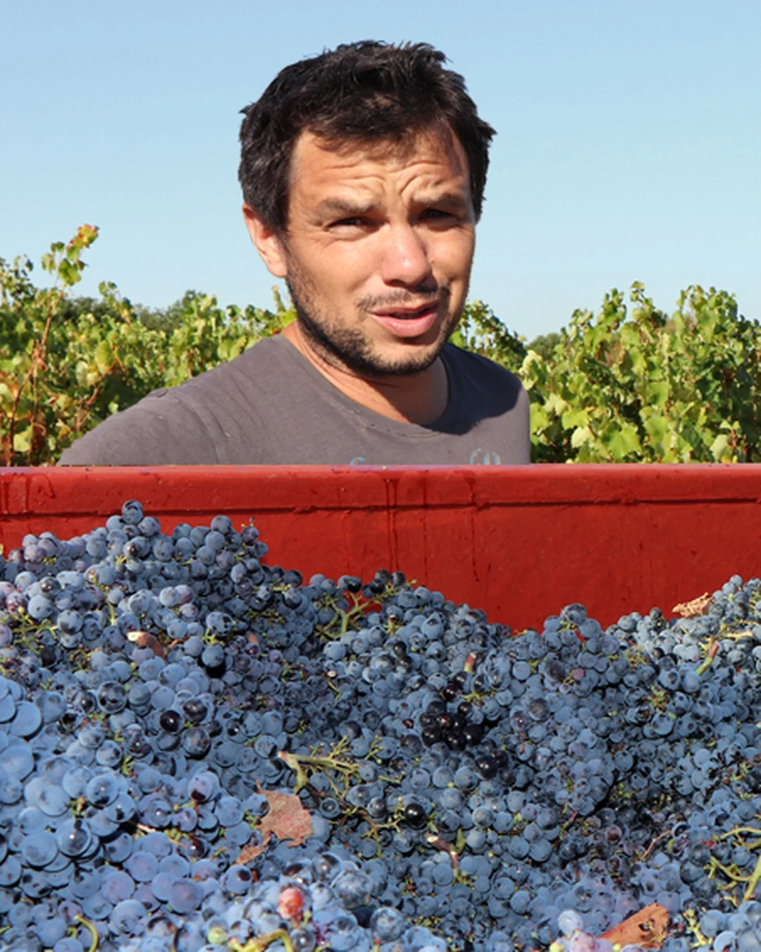 Edouard Sentex