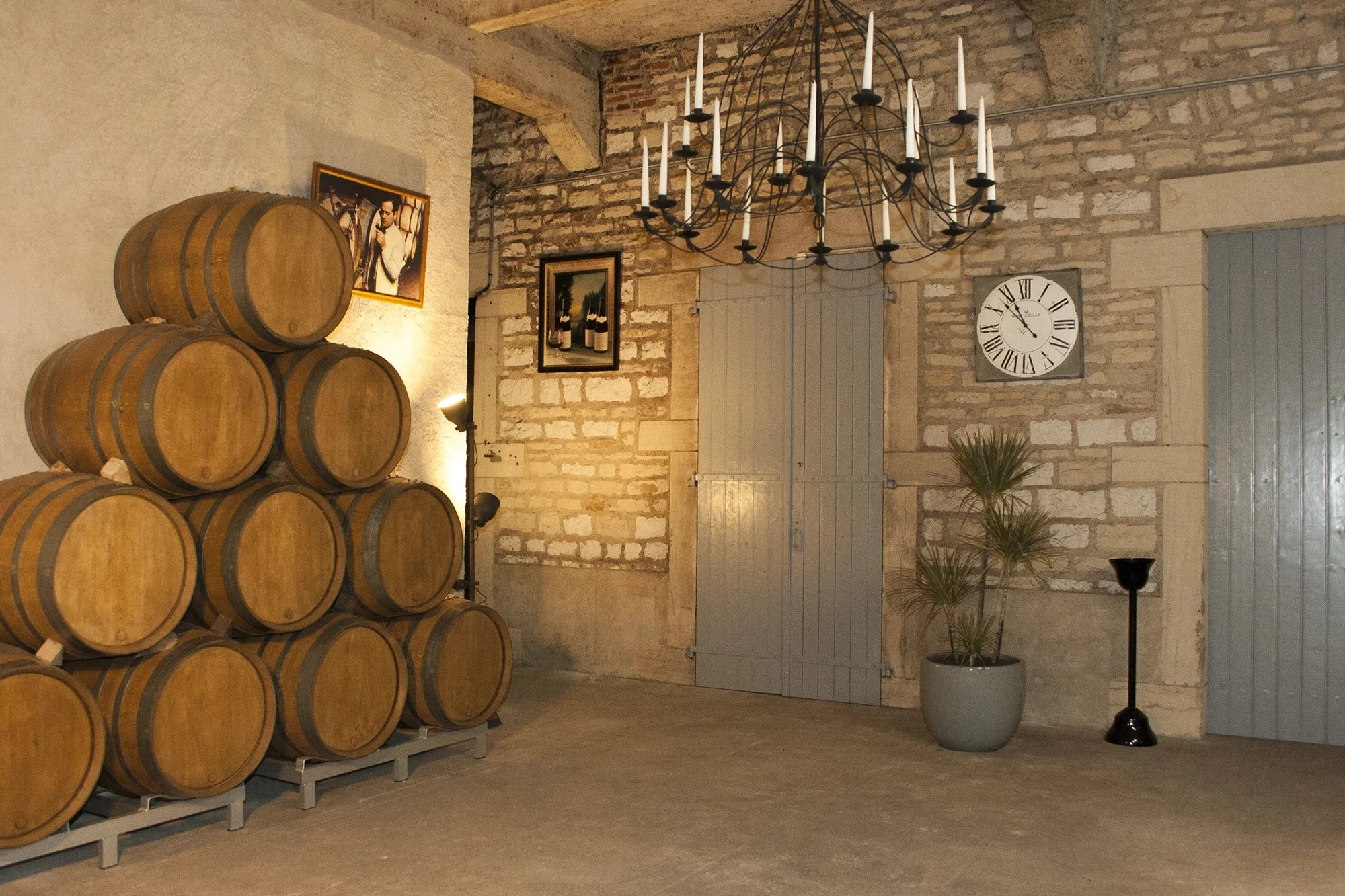 Domaine Guy et Yvan Dufouleur