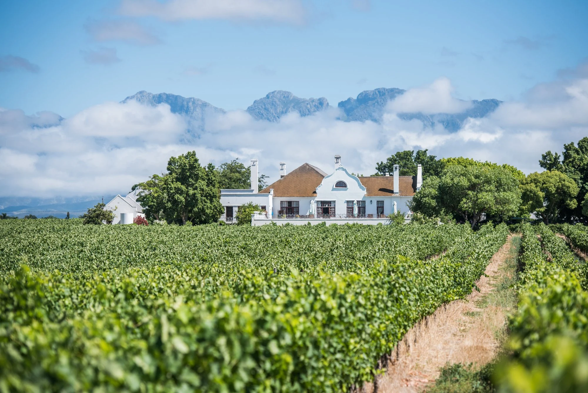 Robertson Winery