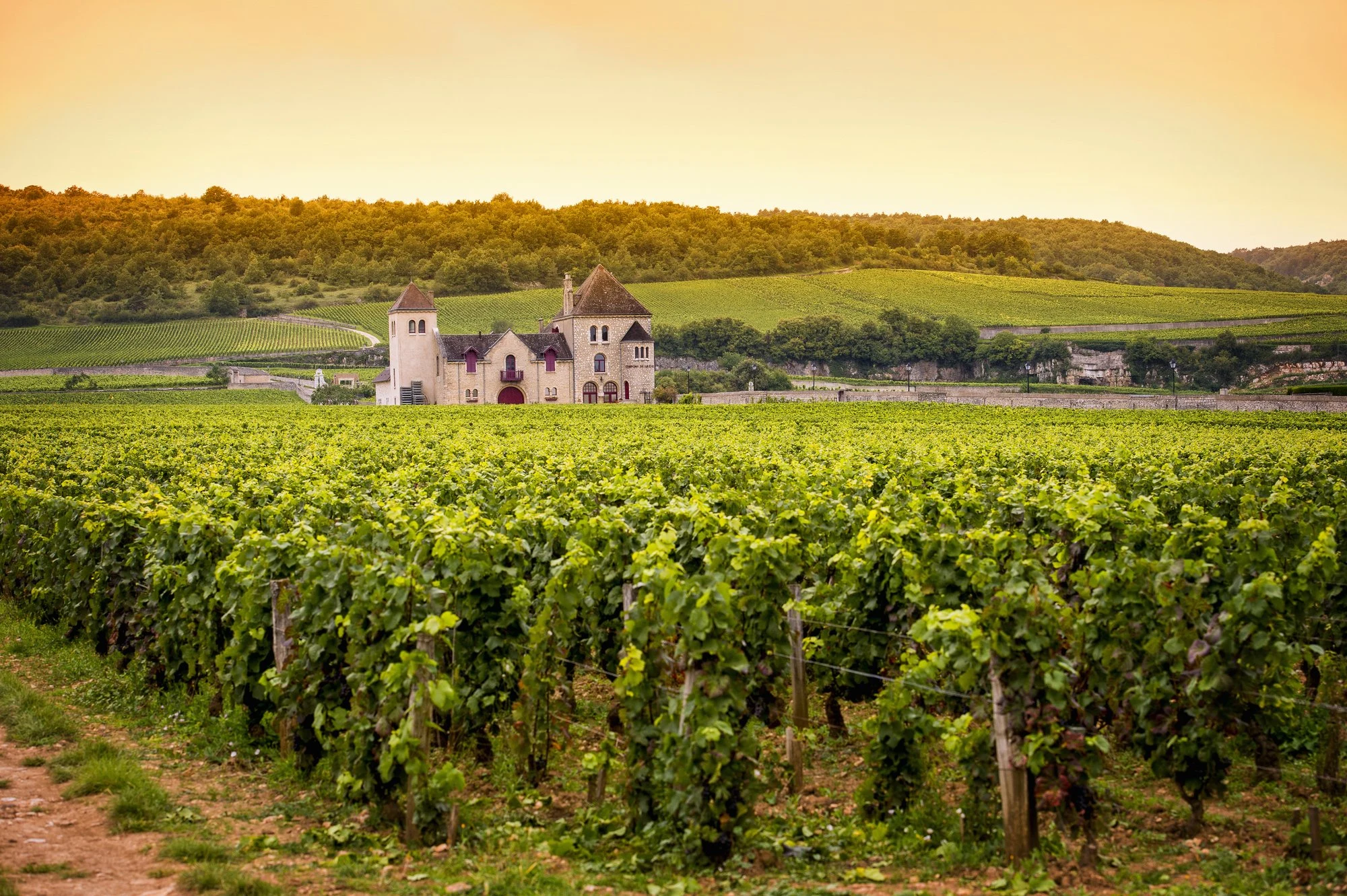 Domaine Couly-Dutheil