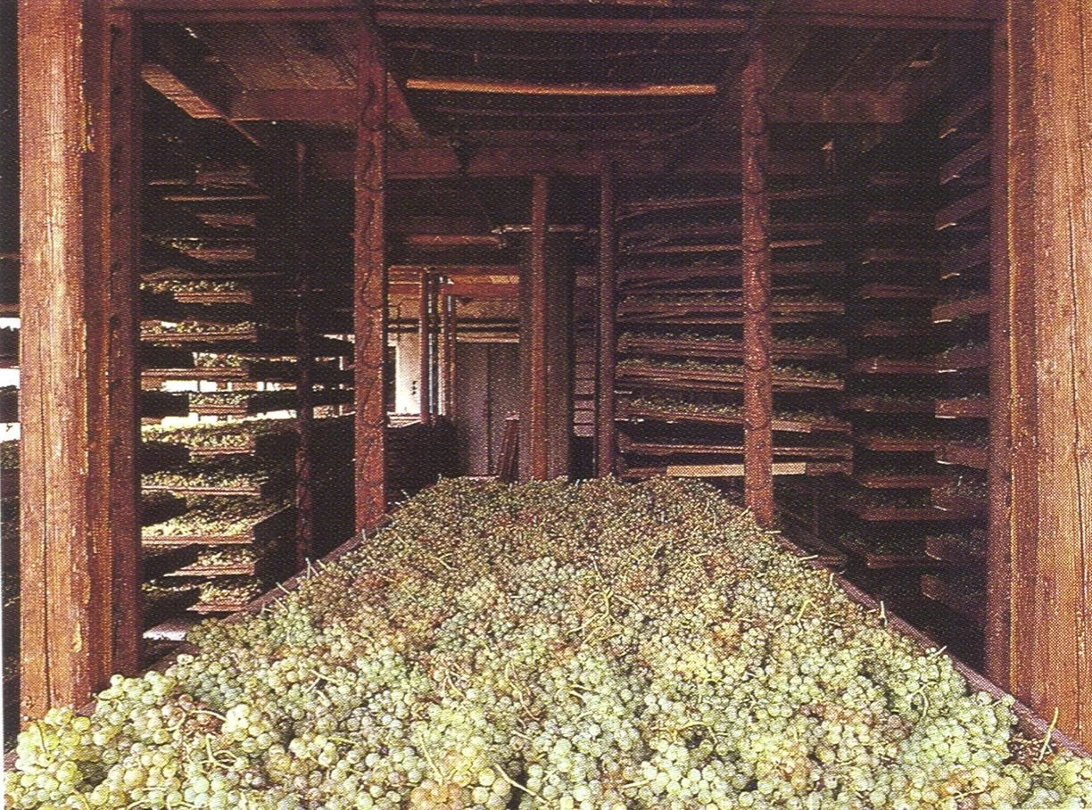Anselmi