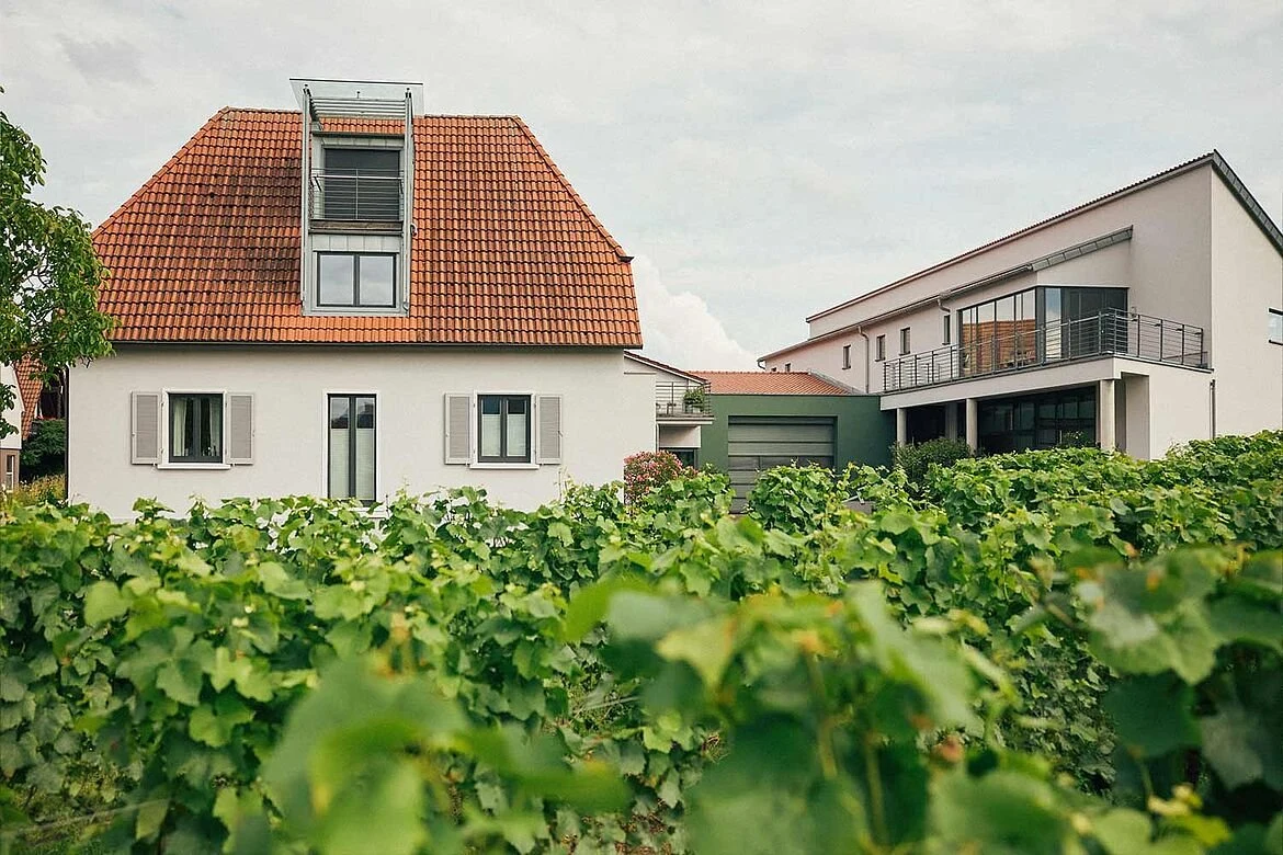 Bioweinbau Johann Lang