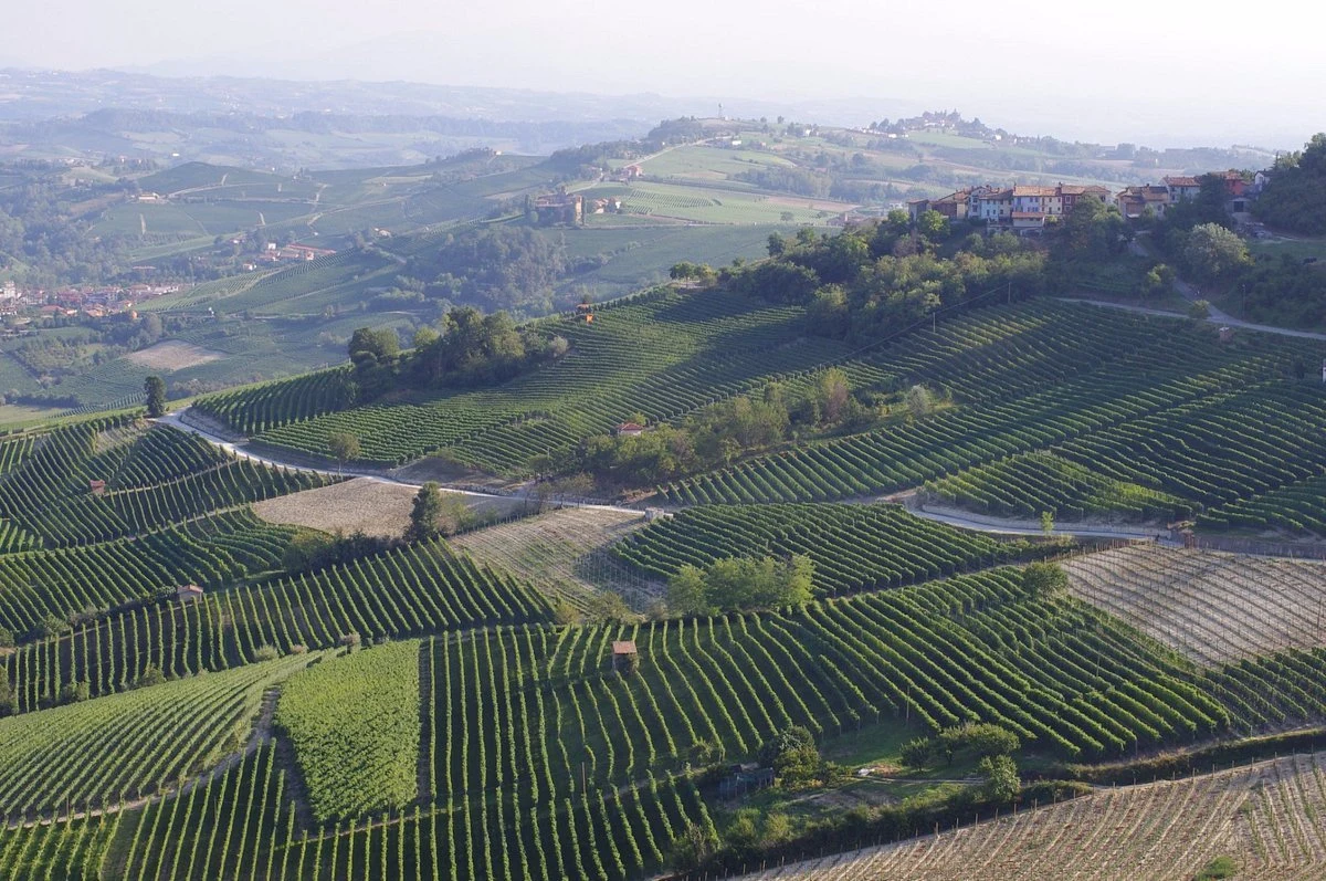 Azienda Agricola Stroppiana