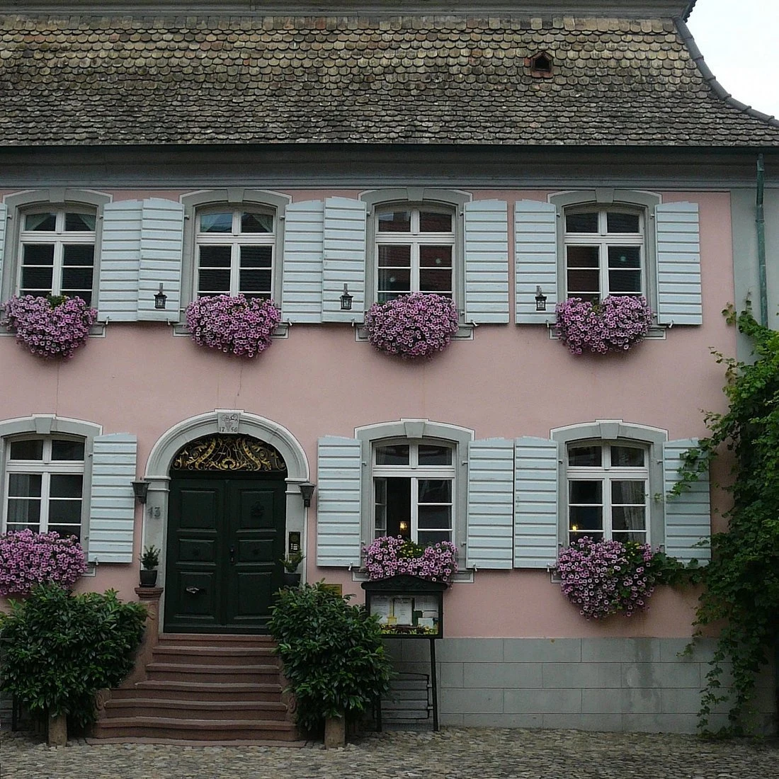 Burkheimer Winzer am Kaiserstuhl