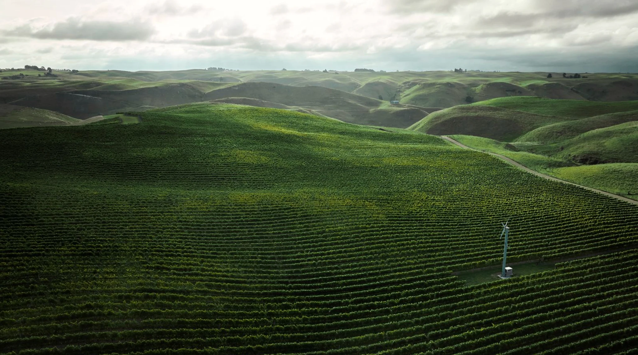Kumeu River Wines