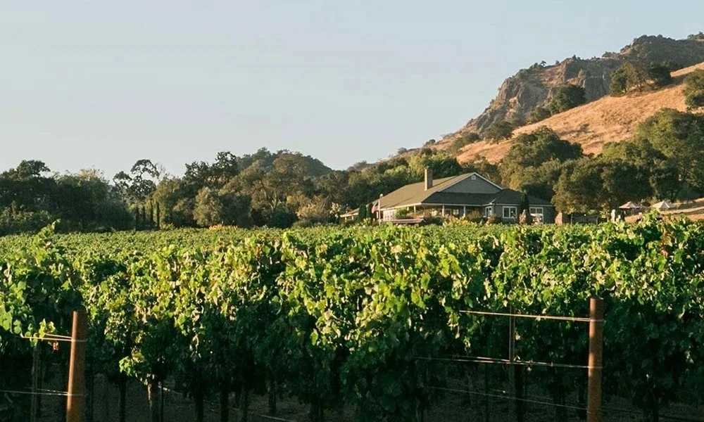 Artezin Wines
