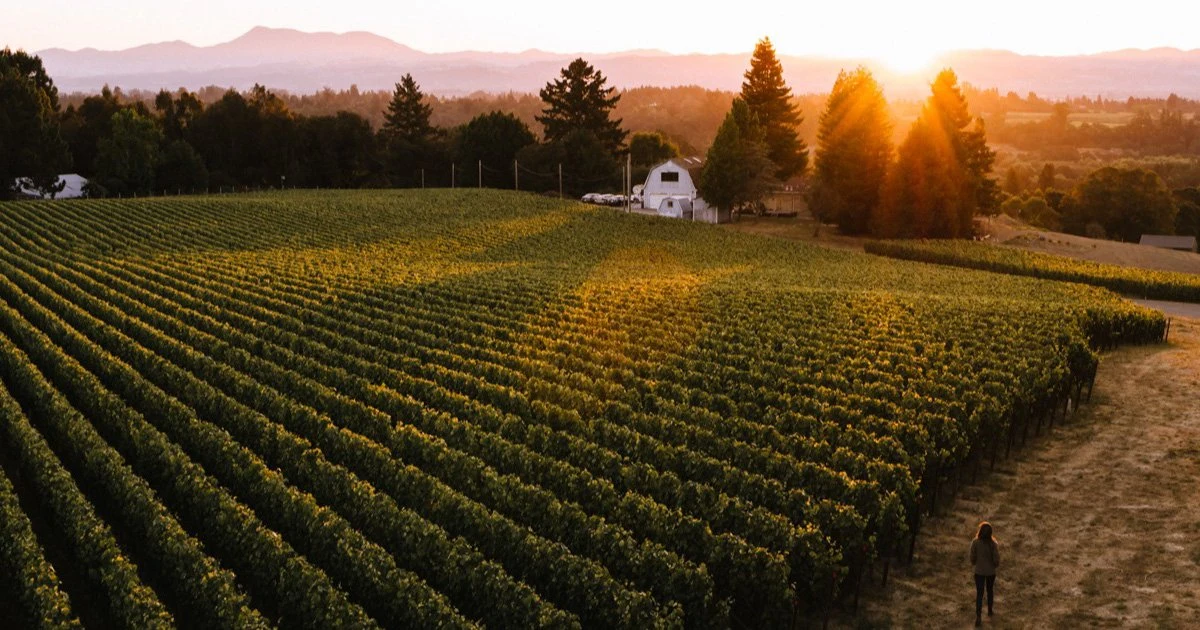 DuMOL Winery
