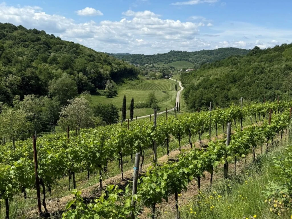 La Rajade