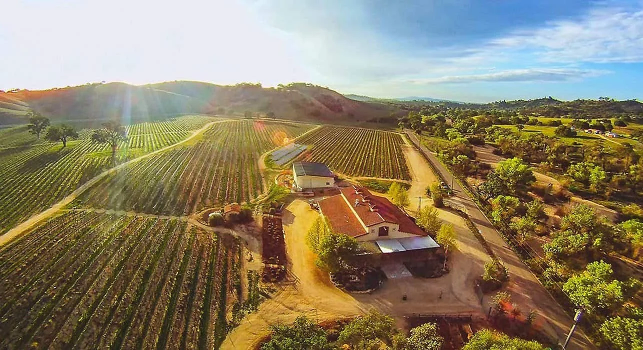 Cass Winery