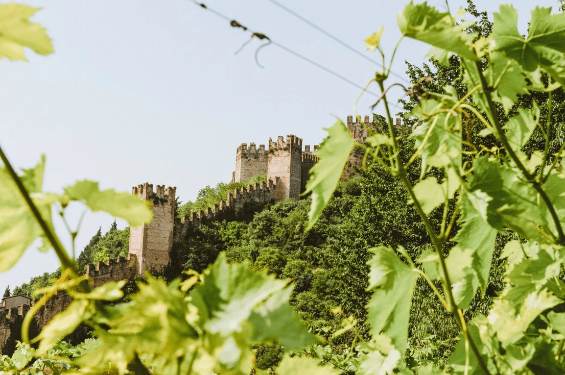 Rocca Sveva