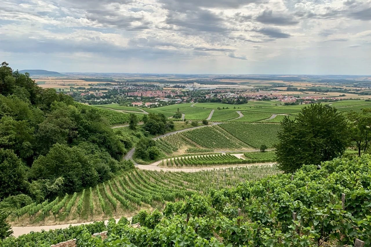 Boessneck Wein