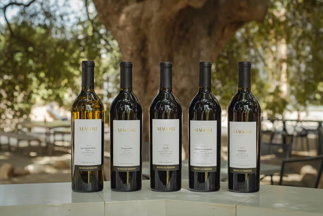Bodegas Magoni