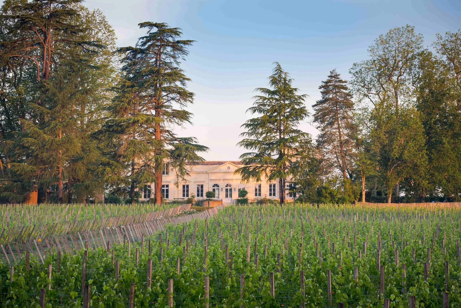 Château Le Pape