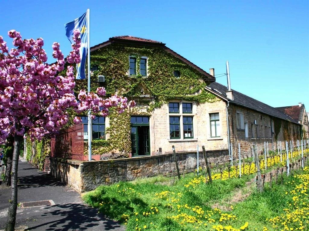 Winzerverein Deidesheim