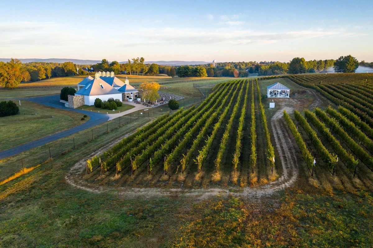 Boxwood Estate Winery
