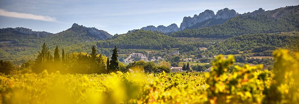 Domaine Santa Duc