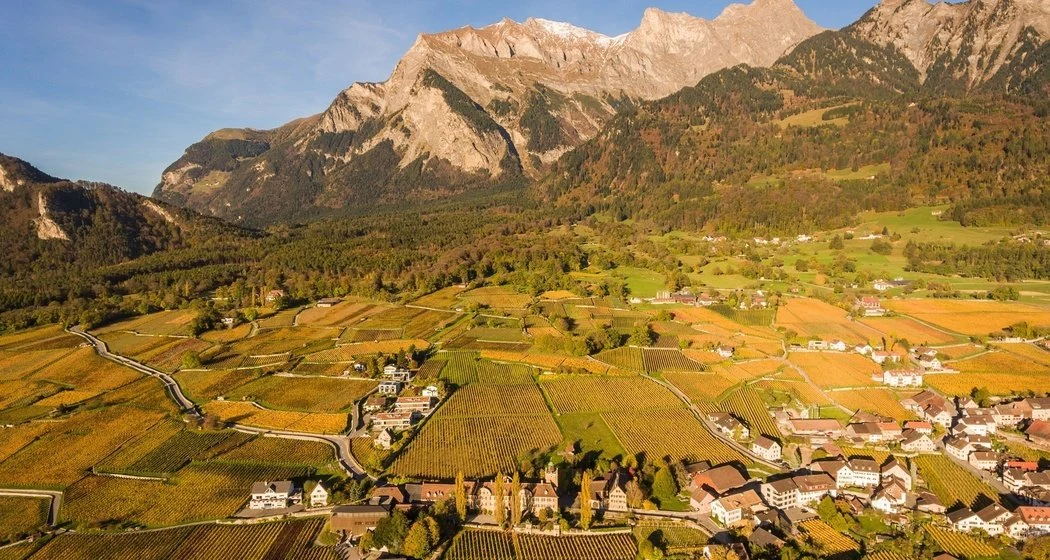 Büsch Weine