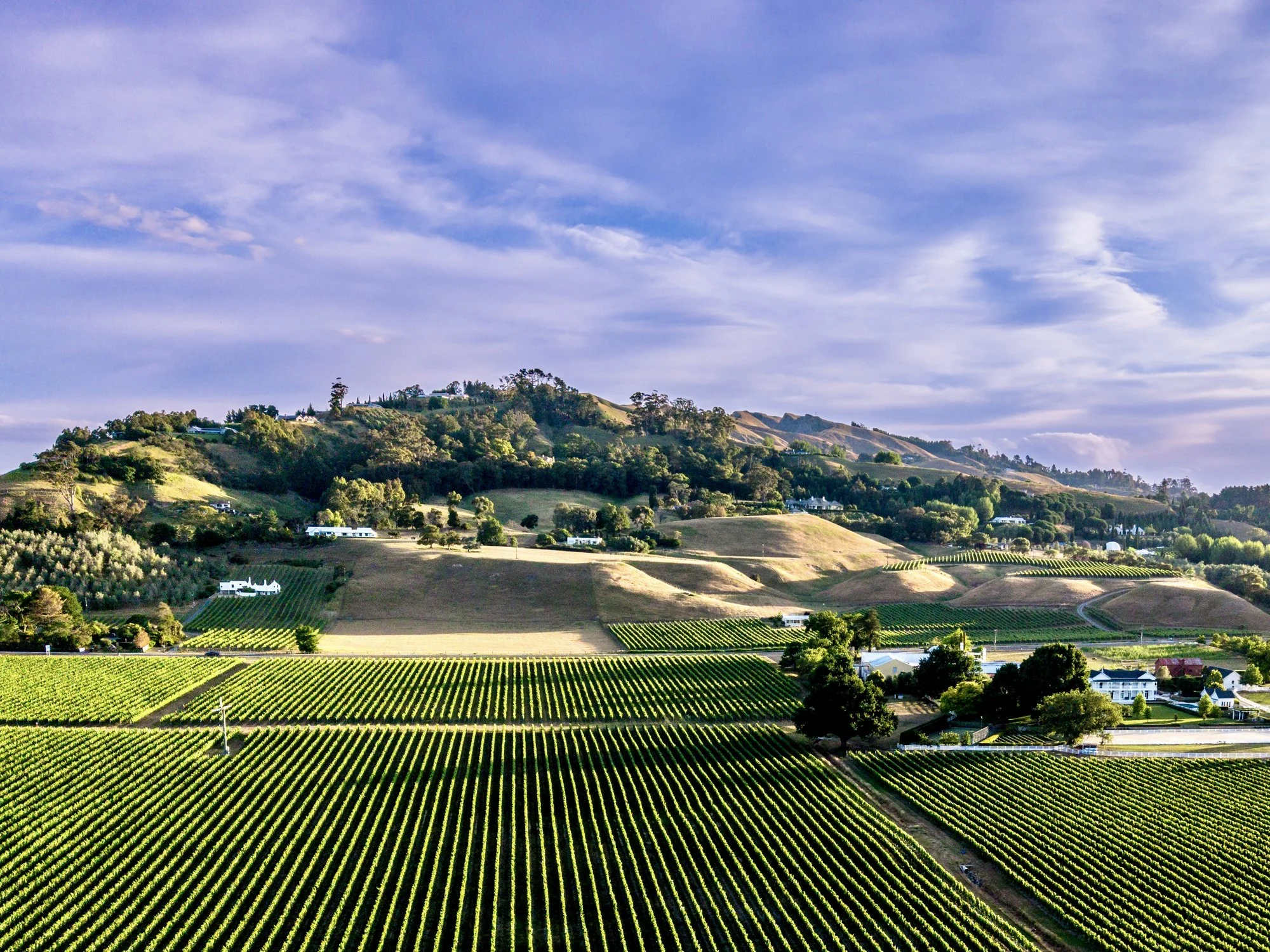 Te Mata
