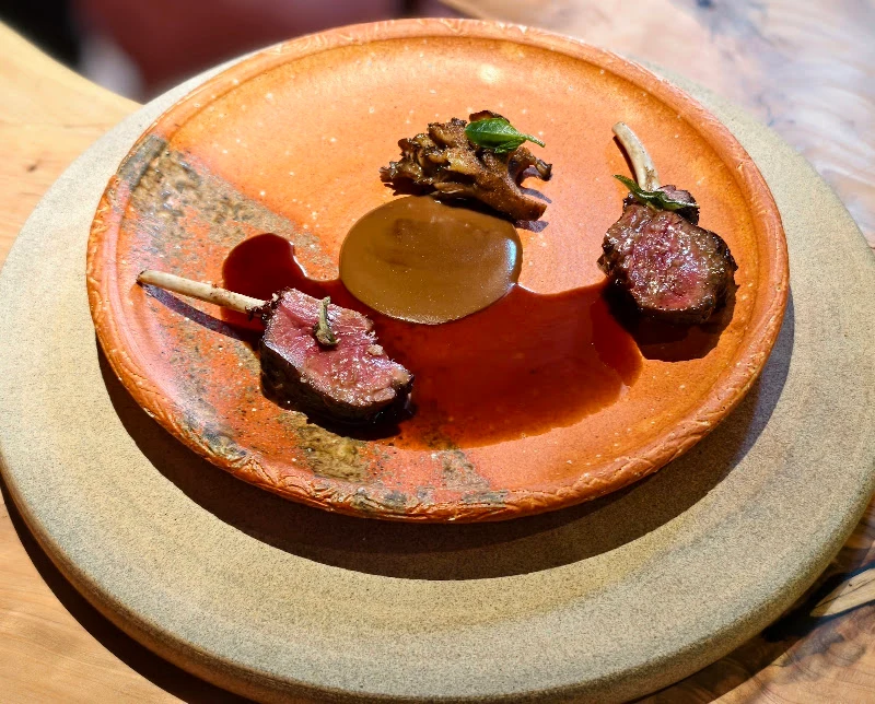 A handmade ceramic plate with a distinctive orange/coral glaze displaying three pieces of seared meat with sauce, presented on a stone base; the sourc