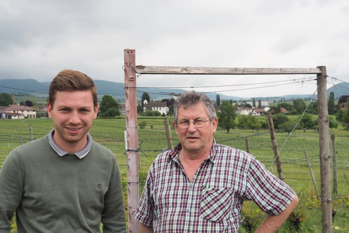 Auer Reben GmbH