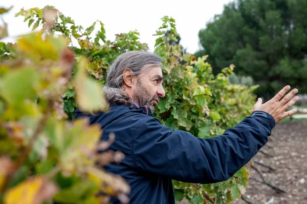Cantina La Marchesa
