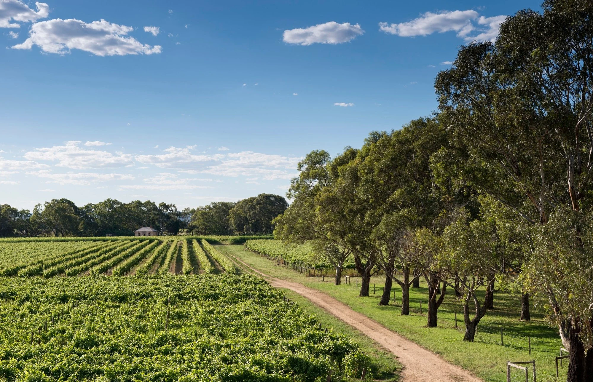 Bleasdale Vineyards
