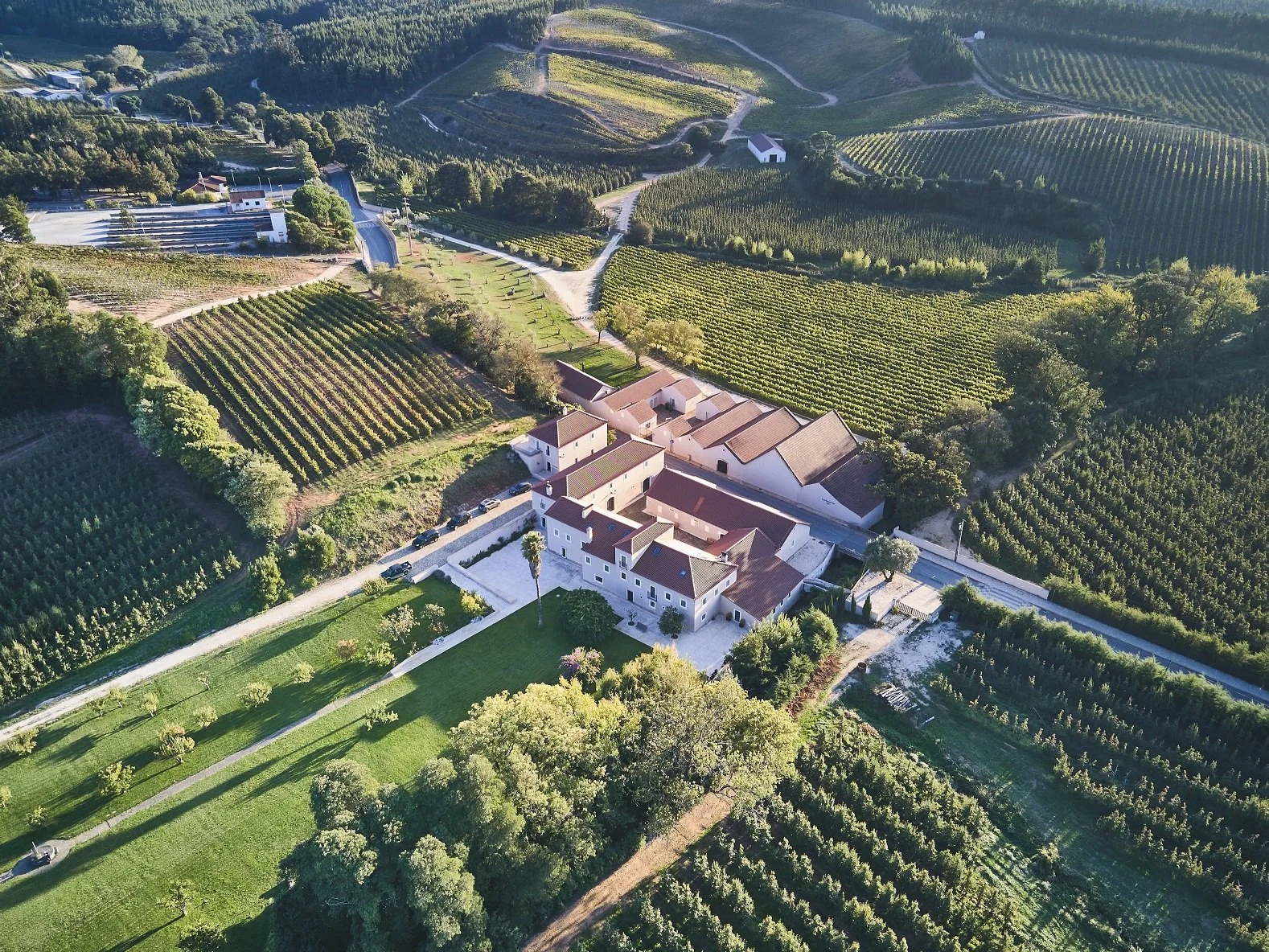 Casa Romana Vini