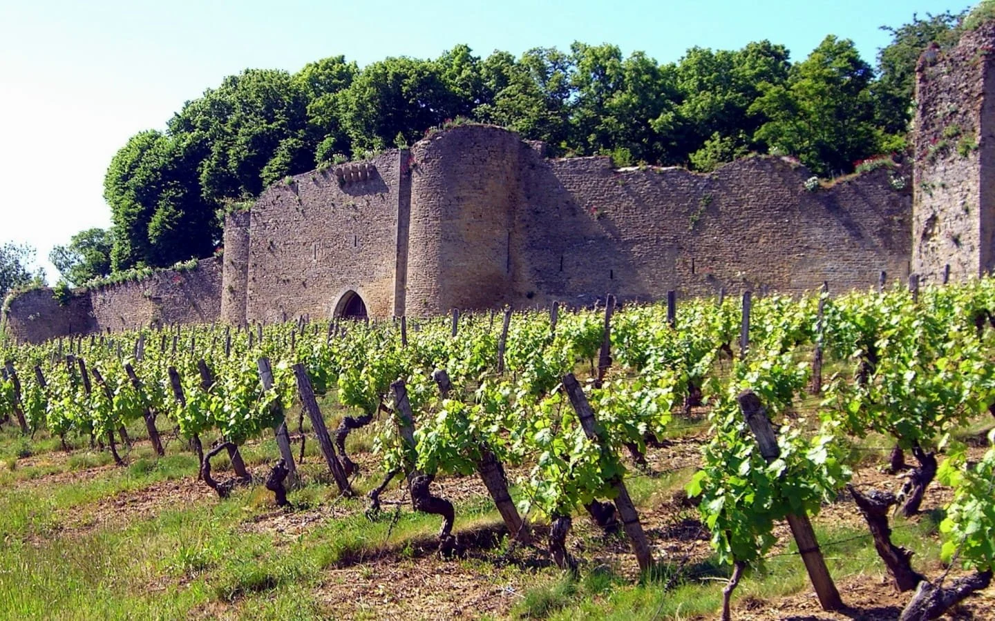 Château d'Arlay