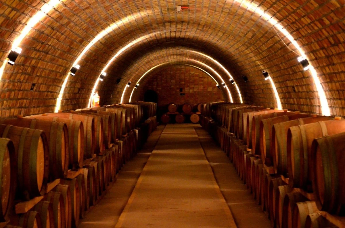 Bodega Suter