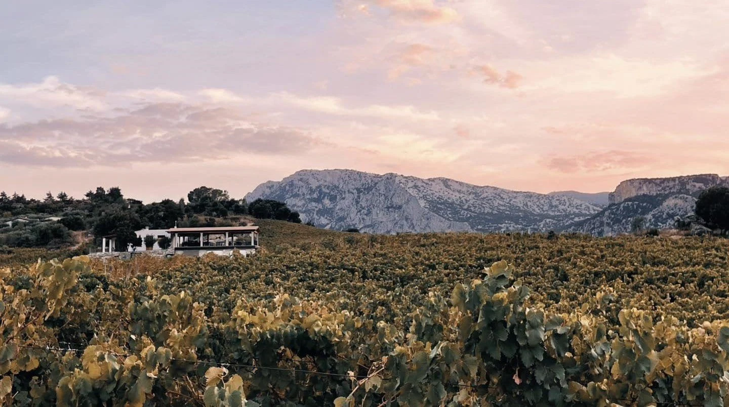 Cantina Berritta