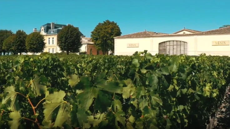 Château Nénin