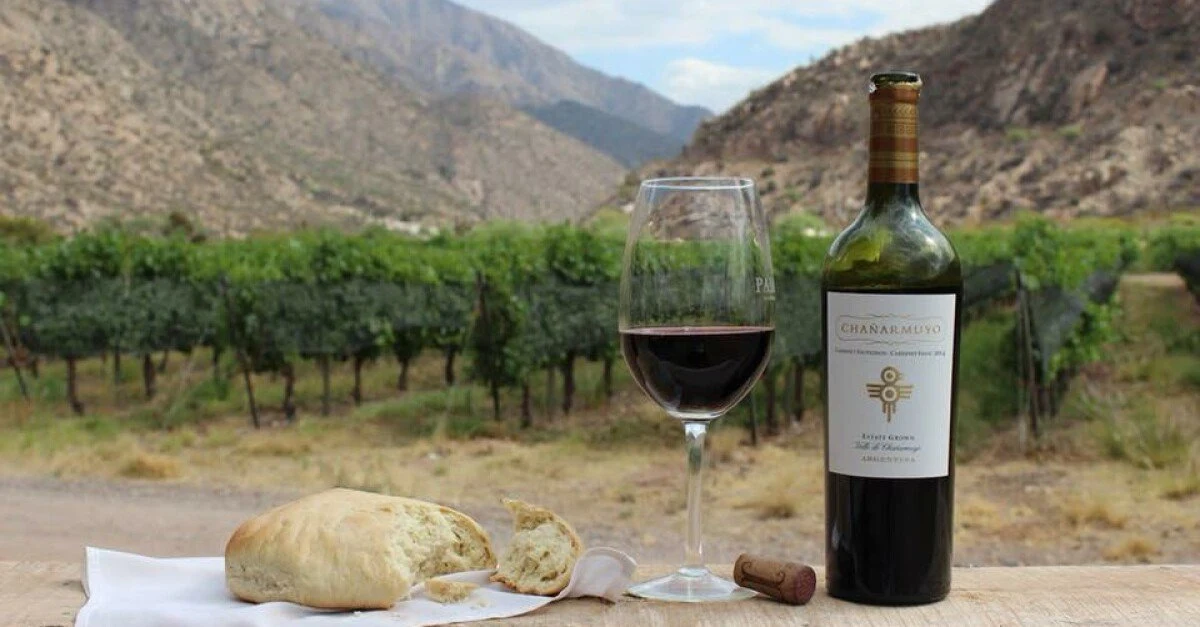 Bodega Chañarmuyo