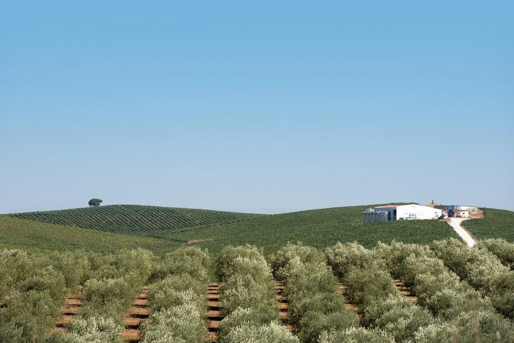 Herdade Penedo Gordo